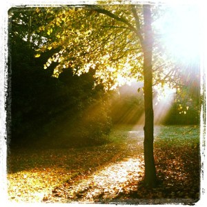The view from the Reach Further office at Weetwood Hall