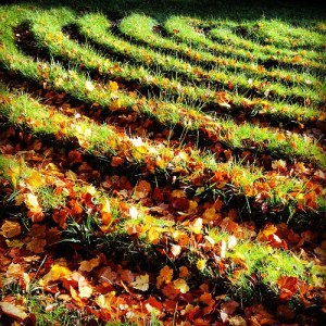Prayer labyrinth at Shepherd's Dene retreat house